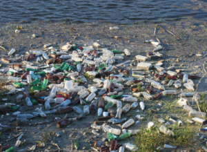 A rischio il Trattato globale contro l’inquinamento da plastica. Il WWF lancia l'allarme